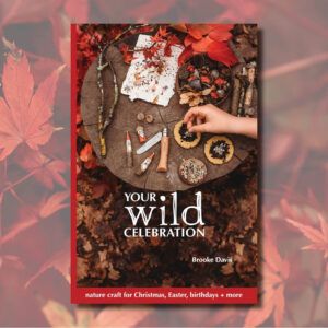 Your Wild Celebration Book