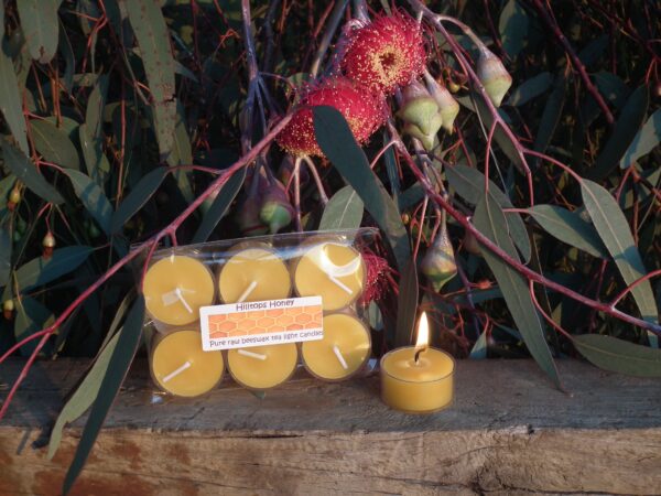 Beeswax Candle Tealights