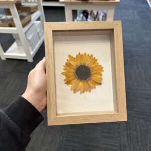 Sunflower Shadowbox