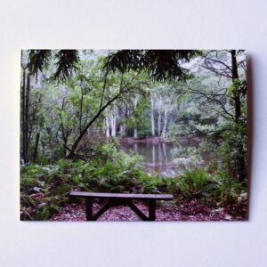 Lakeside Bench Seat Card - Thinking of You