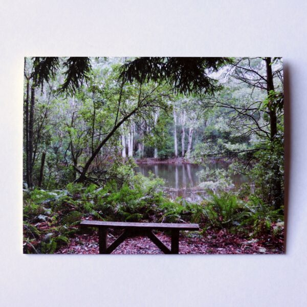 Lakeside Bench Seat Card - Thinking of You