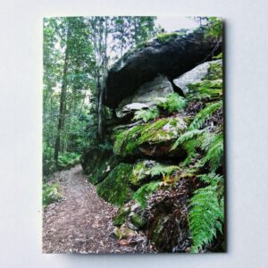 Forest Path Card: Brave, Health Journey