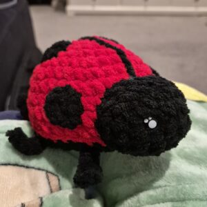 Crochet Lady Bug